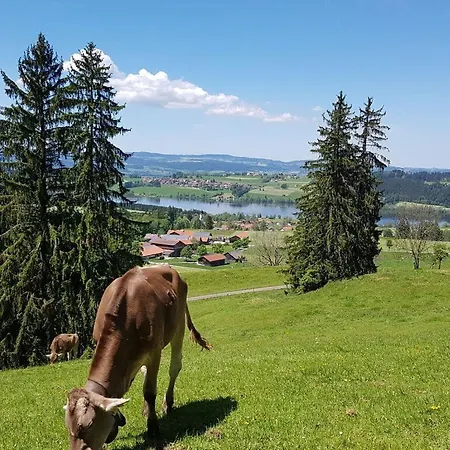 Holiday Hannes Dom wakacyjny Oy-Mittelberg